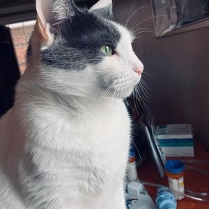 Meet your Posher, Lucy